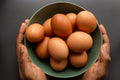 Free Range Eggs Dozen