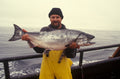 Atlantic Salmon Fillets 2 pack