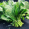 Baby Spinach 120g